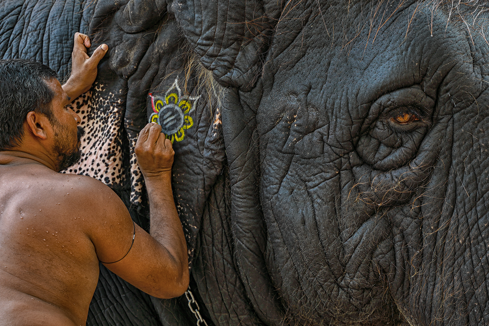 361 | Tamil Nadu 2023